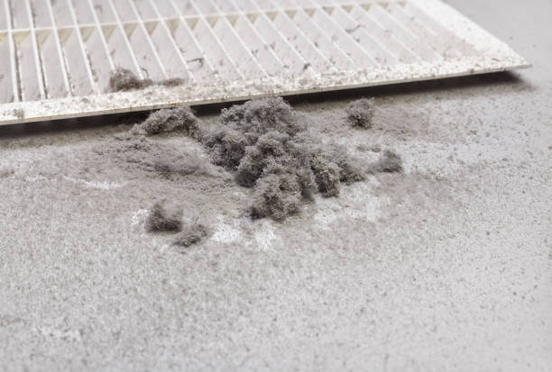 Best HVAC System Cleaning  in Corpus Christi, TX