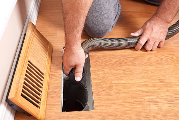 Best Air Duct Mold Removal  in Corpus Christi, TX